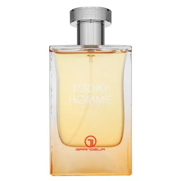 Grandeur Grandeur Today Hommè parfemska voda za muškarce 100 ml