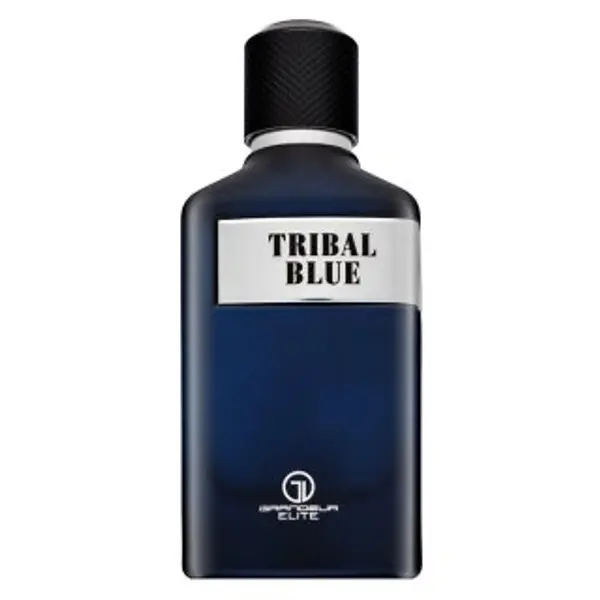 Grandeur Grandeur Tribal Blue parfemska voda za muškarce 100 ml