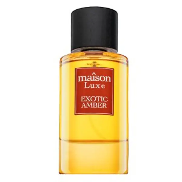 Hamidi Hamidi Maison Luxe Exotic Amber čistý parfém za muškarce 110 ml