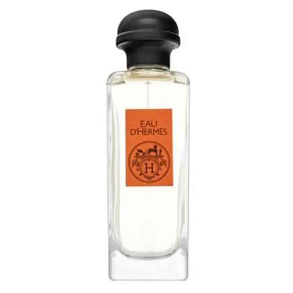 Hermès Hermès Eau D´Hermes toaletna voda unisex 100 ml