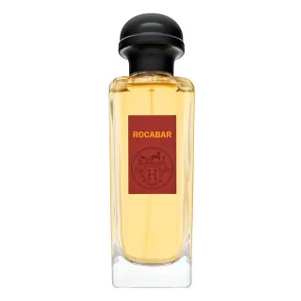 Hermès Hermès Rocabar toaletna voda za muškarce 100 ml