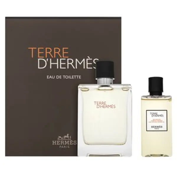 Hermès Hermès Terre D'Hermes darčeková sada za muškarce Set I. 100 ml