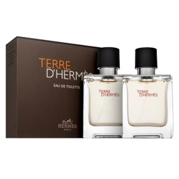 Hermès Hermès Terre D'Hermes darčeková sada za muškarce Set II. 100 ml