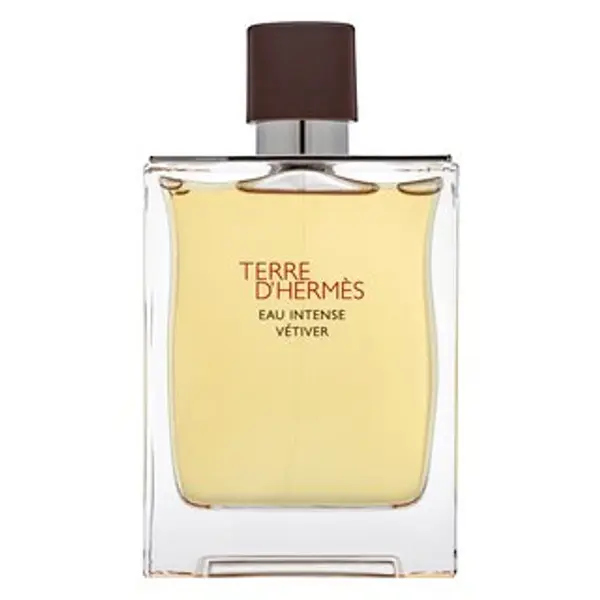 Hermès Hermès Terre D'Hermes Eau Intense Vetiver parfémovaná voda za muškarce 200 ml