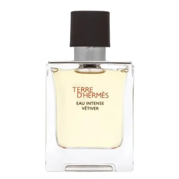 Hermès Hermès Terre D'Hermes Eau Intense Vetiver parfémovaná voda za muškarce 50 ml