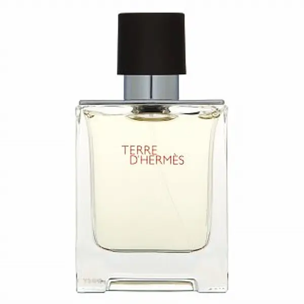 Hermès Hermès Terre D'Hermes toaletna voda za muškarce 50 ml