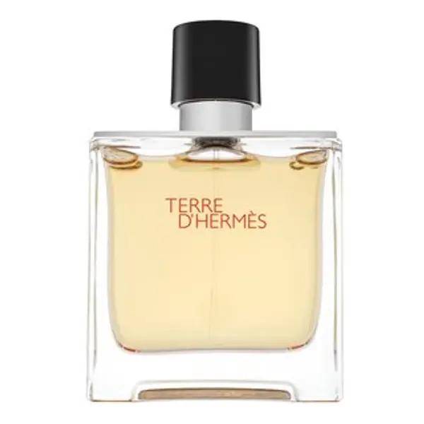 Hermès Hermès Terre D'Hermes čistý parfém za muškarce 75 ml
