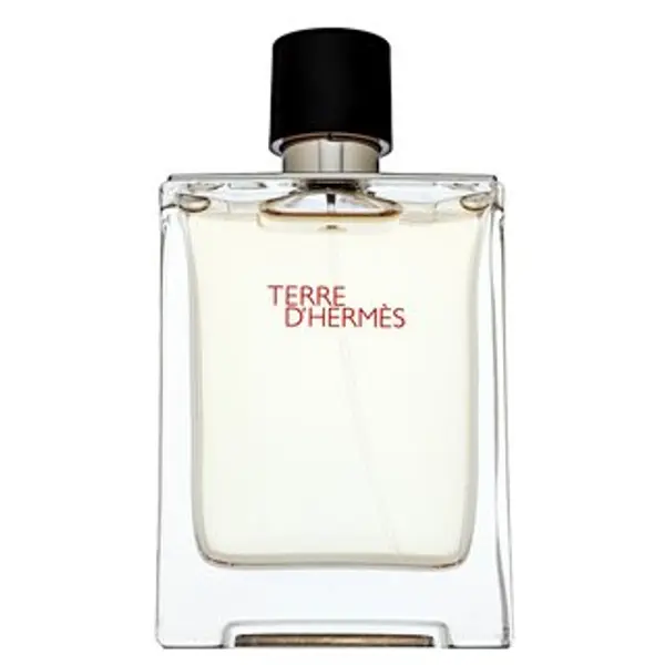 Hermès Hermès Terre D'Hermes toaletna voda za muškarce 100 ml