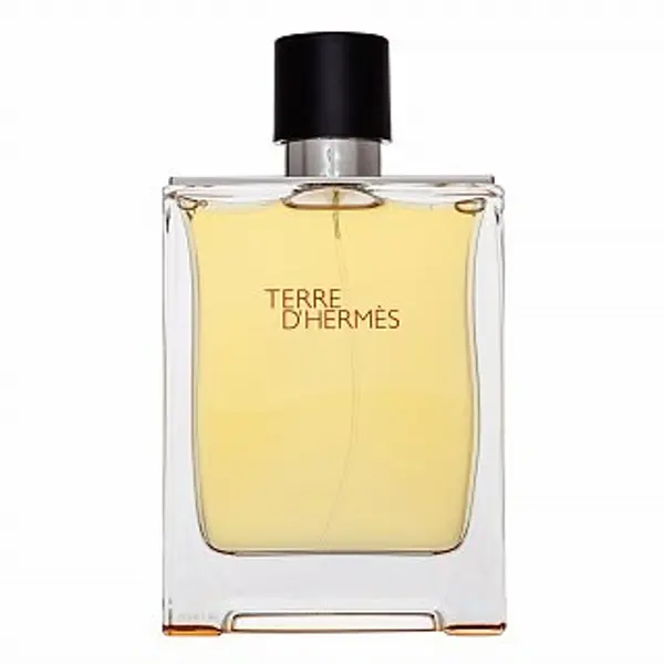 Hermès Hermès Terre D'Hermes toaletna voda za muškarce 200 ml