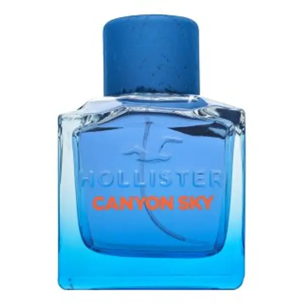 Hollister Hollister Canyon Sky For Him toaletna voda za muškarce 100 ml