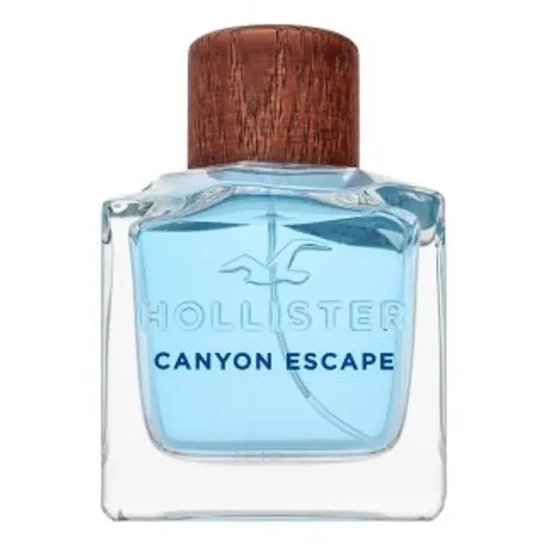 Hollister Hollister Canyon Escape toaletna voda za muškarce 100 ml