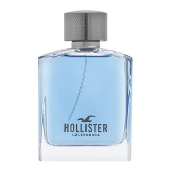 Hollister Hollister Wave For Him toaletna voda za muškarce 100 ml