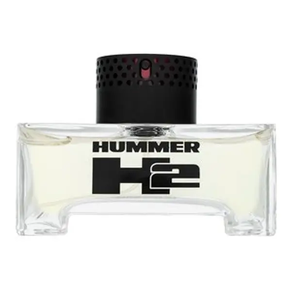 HUMMER HUMMER Hummer 2 toaletna voda za muškarce 125 ml