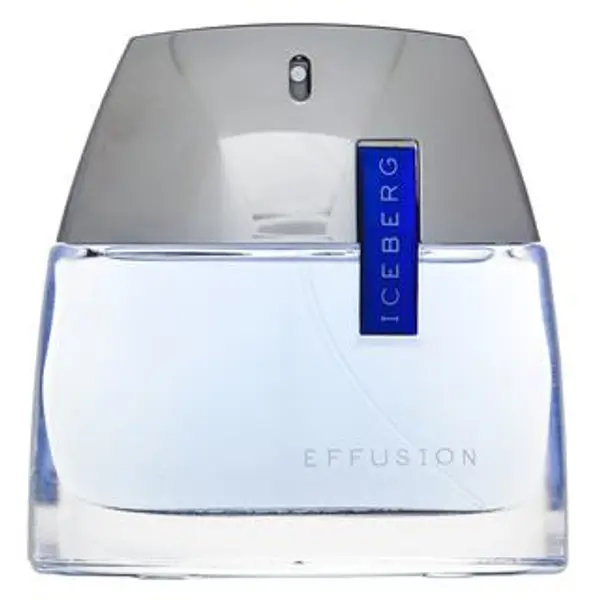 Iceberg Iceberg Effusion Man toaletna voda za muškarce 75 ml