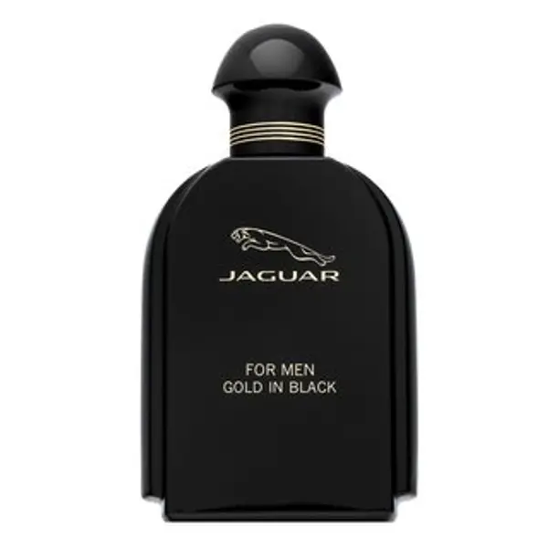 Jaguar Jaguar For Men Gold in Black toaletna voda za muškarce 100 ml