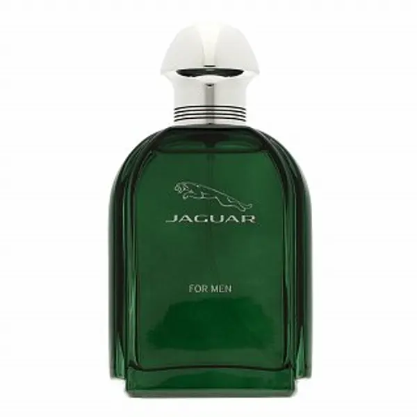Jaguar Jaguar Jaguar for Men toaletna voda za muškarce 100 ml