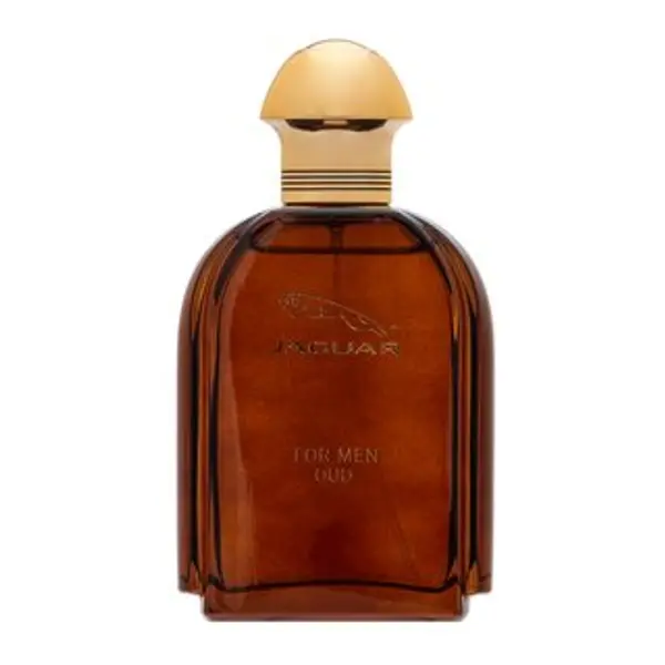 Jaguar Jaguar Oud For Men parfémovaná voda za muškarce 100 ml