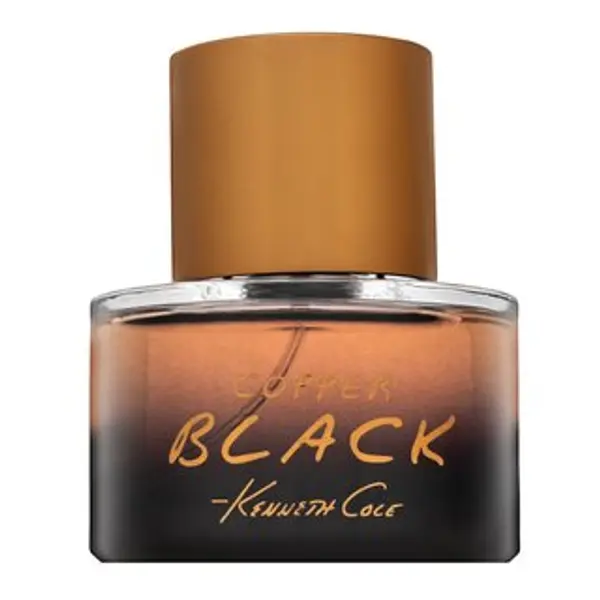 Kenneth Cole Kenneth Cole Black Copper toaletna voda za muškarce 50 ml