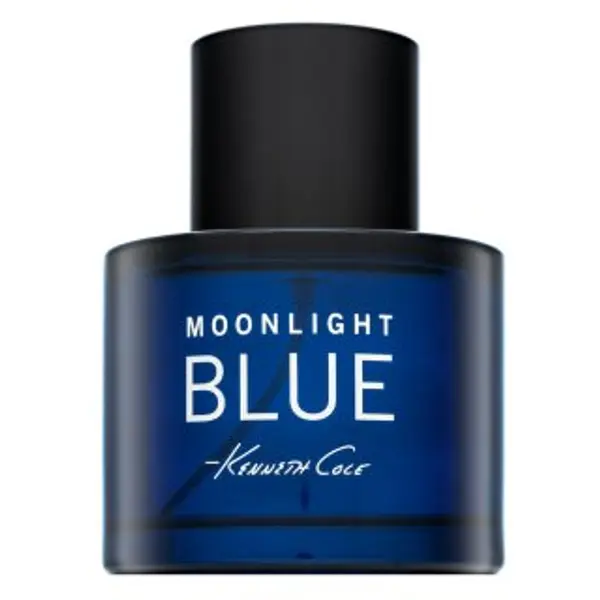 Kenneth Cole Kenneth Cole Moonlight Blue toaletna voda za muškarce 100 ml
