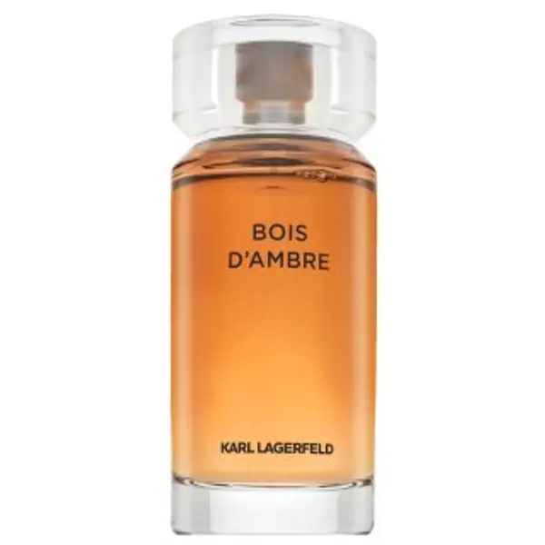 Lagerfeld Lagerfeld Bois d'Ambre toaletna voda za muškarce 100 ml