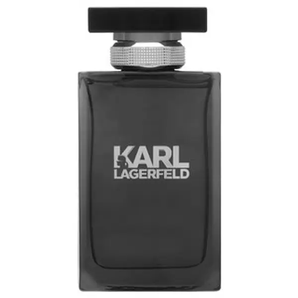 Lagerfeld Lagerfeld Karl Lagerfeld for Him toaletna voda za muškarce 100 ml