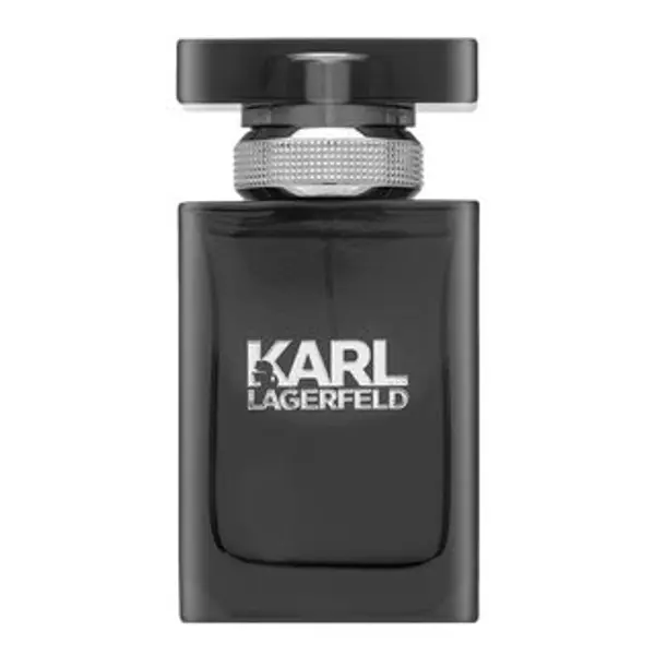 Lagerfeld Lagerfeld Karl Lagerfeld for Him toaletna voda za muškarce 50 ml