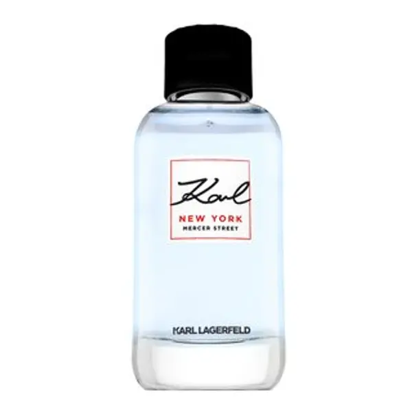 Lagerfeld Lagerfeld New York Mercer Street toaletna voda za muškarce 100 ml