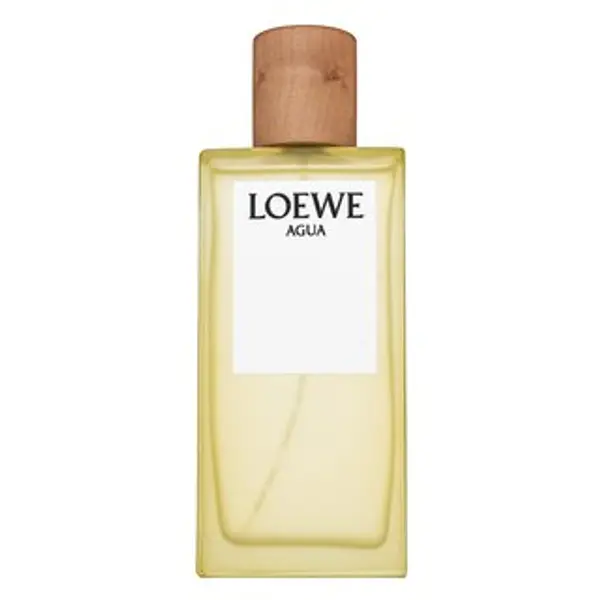 Loewe Loewe Agua de Loewe toaletna voda unisex 100 ml