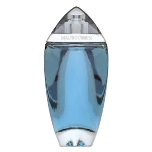 Mauboussin Mauboussin Homme parfémovaná voda za muškarce 100 ml