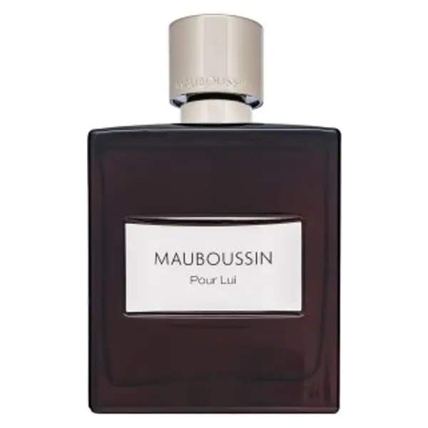 Mauboussin Mauboussin Pour Lui parfemska voda za muškarce 100 ml