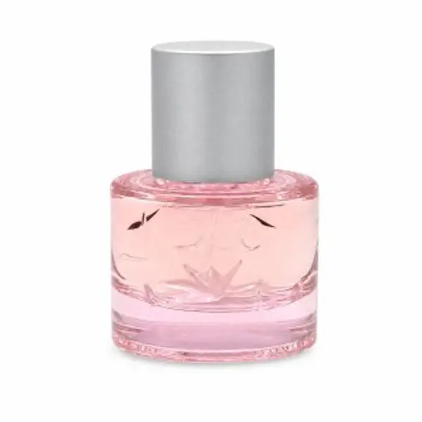Mexx Mexx Summer Daydream toaletna voda za žene 20 ml
