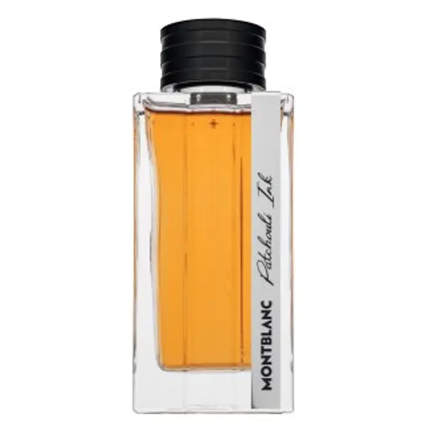 Mont Blanc Mont Blanc Patchouli Ink parfemska voda za muškarce 125 ml