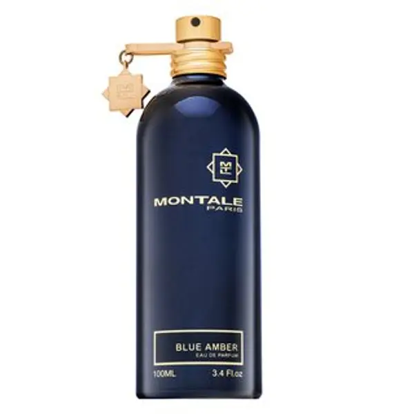 Montale Montale Blue Amber parfémovaná voda unisex 100 ml