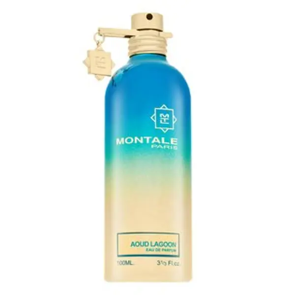 Montale Montale Aoud Lagoon parfémovaná voda unisex 100 ml