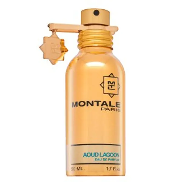 Montale Montale Aoud Lagoon parfemska voda unisex 50 ml