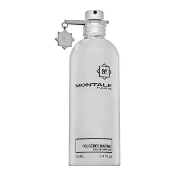 Montale Montale Fougeres Marines parfémovaná voda unisex 100 ml