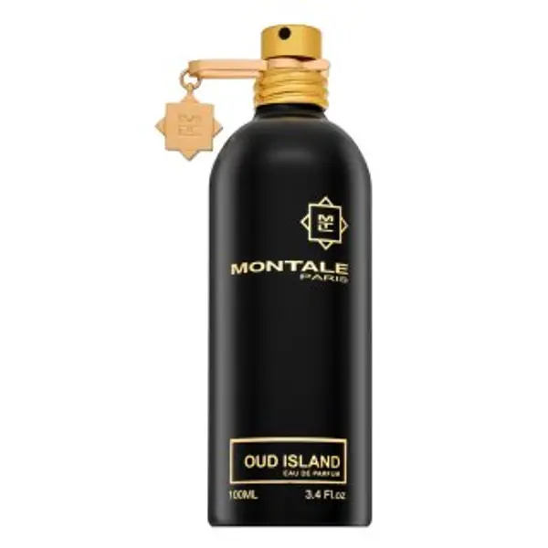 Montale Montale Oud Island parfemska voda unisex 100 ml