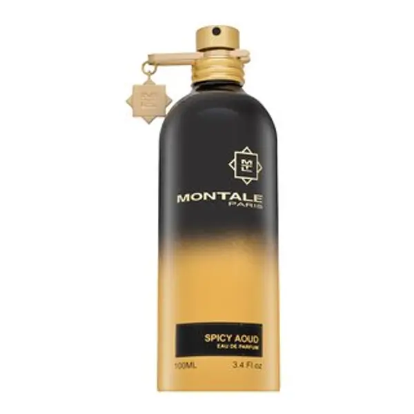 Montale Montale Spicy Aoud parfémovaná voda unisex 100 ml