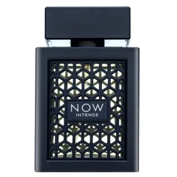 Rave Rave Now Intense parfemska voda za muškarce 100 ml