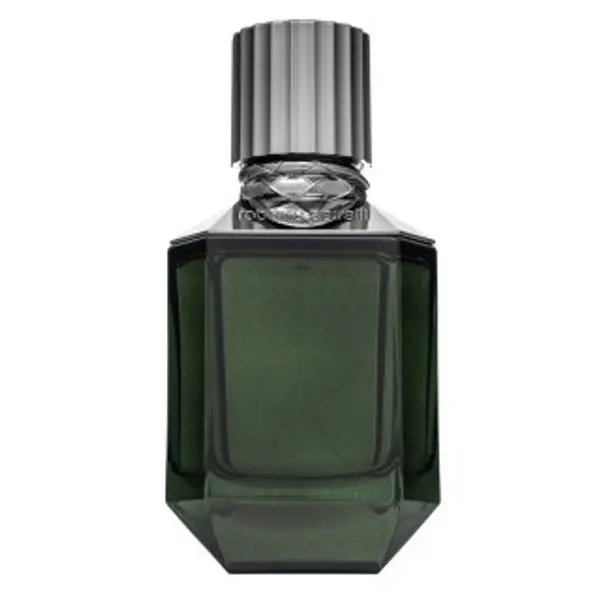 Roberto Cavalli Roberto Cavalli Paradise Found toaletna voda za muškarce 75 ml