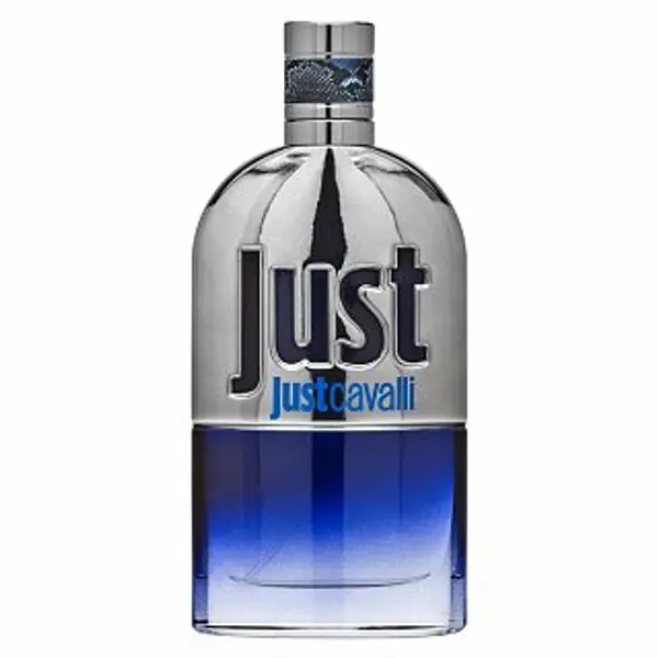 Roberto Cavalli Roberto Cavalli Just Cavalli Him 2013 toaletna voda za muškarce 90 ml