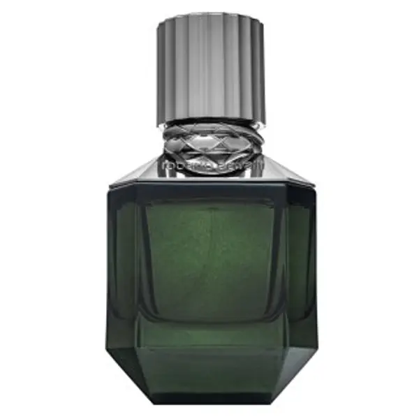 Roberto Cavalli Roberto Cavalli Paradise Found toaletna voda za muškarce 50 ml