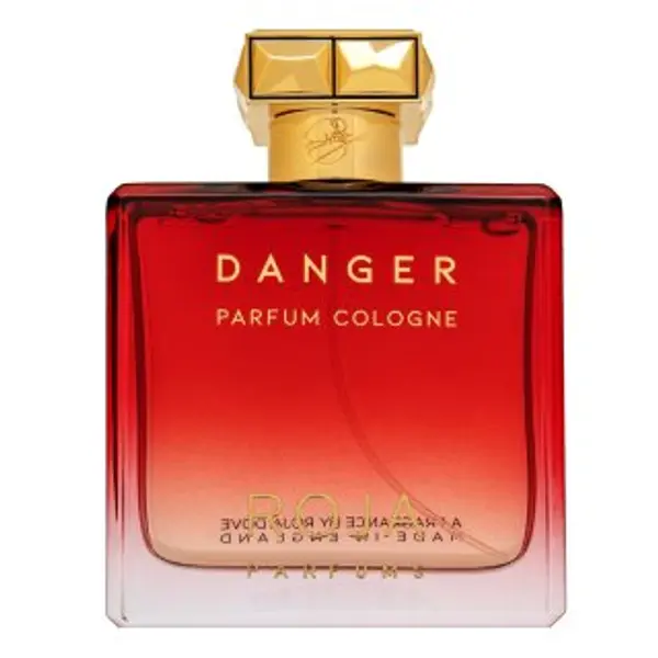 Roja Parfums Roja Parfums Danger kolonjska voda za muškarce 100 ml