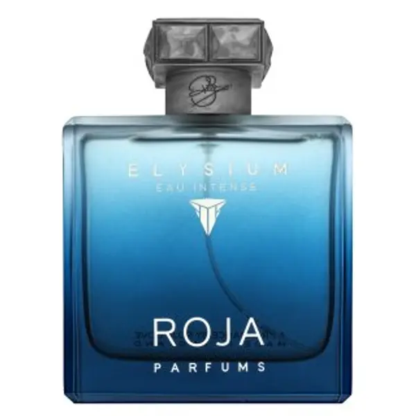 Roja Parfums Roja Parfums Elysium Eau Intense parfemska voda za muškarce 100 ml