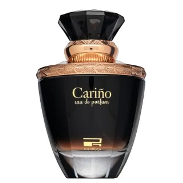 Rue Broca Rue Broca Carino parfemska voda za muškarce 100 ml