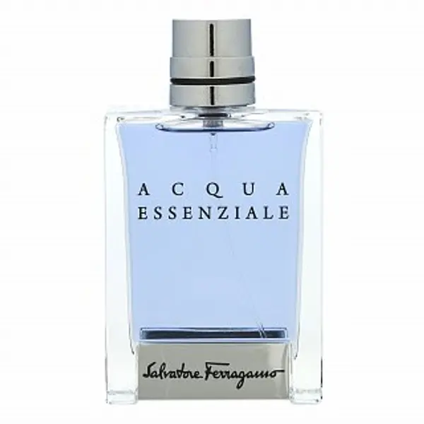 Salvatore Ferragamo Salvatore Ferragamo Acqua Essenziale toaletna voda za muškarce 100 ml