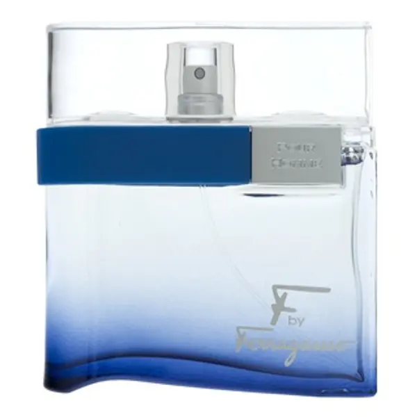 Salvatore Ferragamo Salvatore Ferragamo F by Ferragamo Free Time toaletna voda za muškarce 100 ml