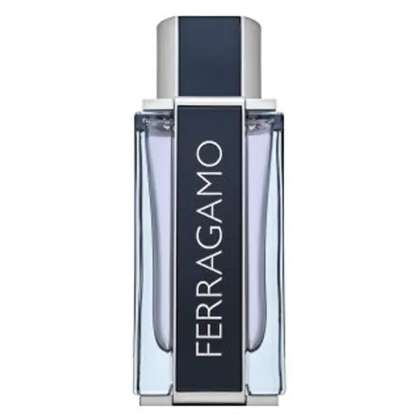 Salvatore Ferragamo Salvatore Ferragamo Ferragamo toaletna voda za muškarce 100 ml