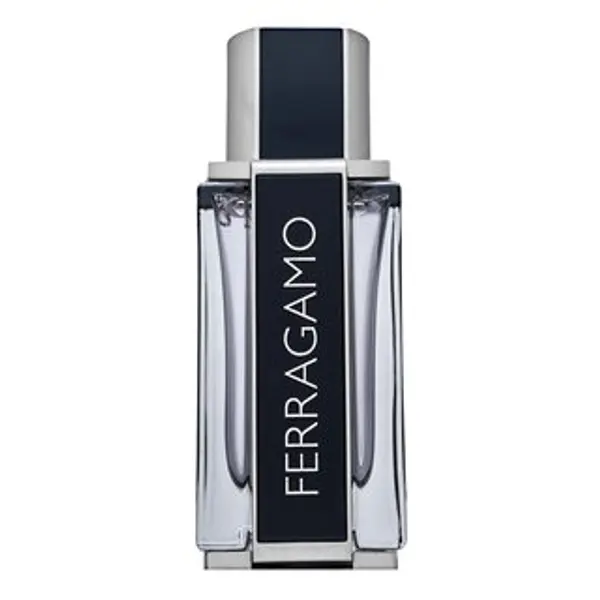Salvatore Ferragamo Salvatore Ferragamo Ferragamo toaletna voda za muškarce 50 ml