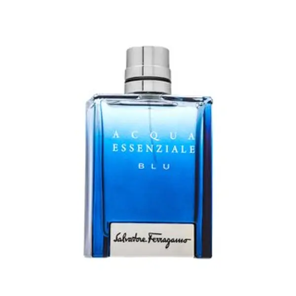 Salvatore Ferragamo Salvatore Ferragamo Acqua Essenziale Blu toaletna voda za muškarce 100 ml